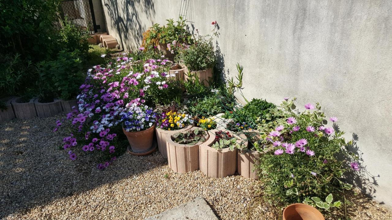 Appartement Avec Terrasse Quartier Montplaisir 阿爾勒 外观 照片
